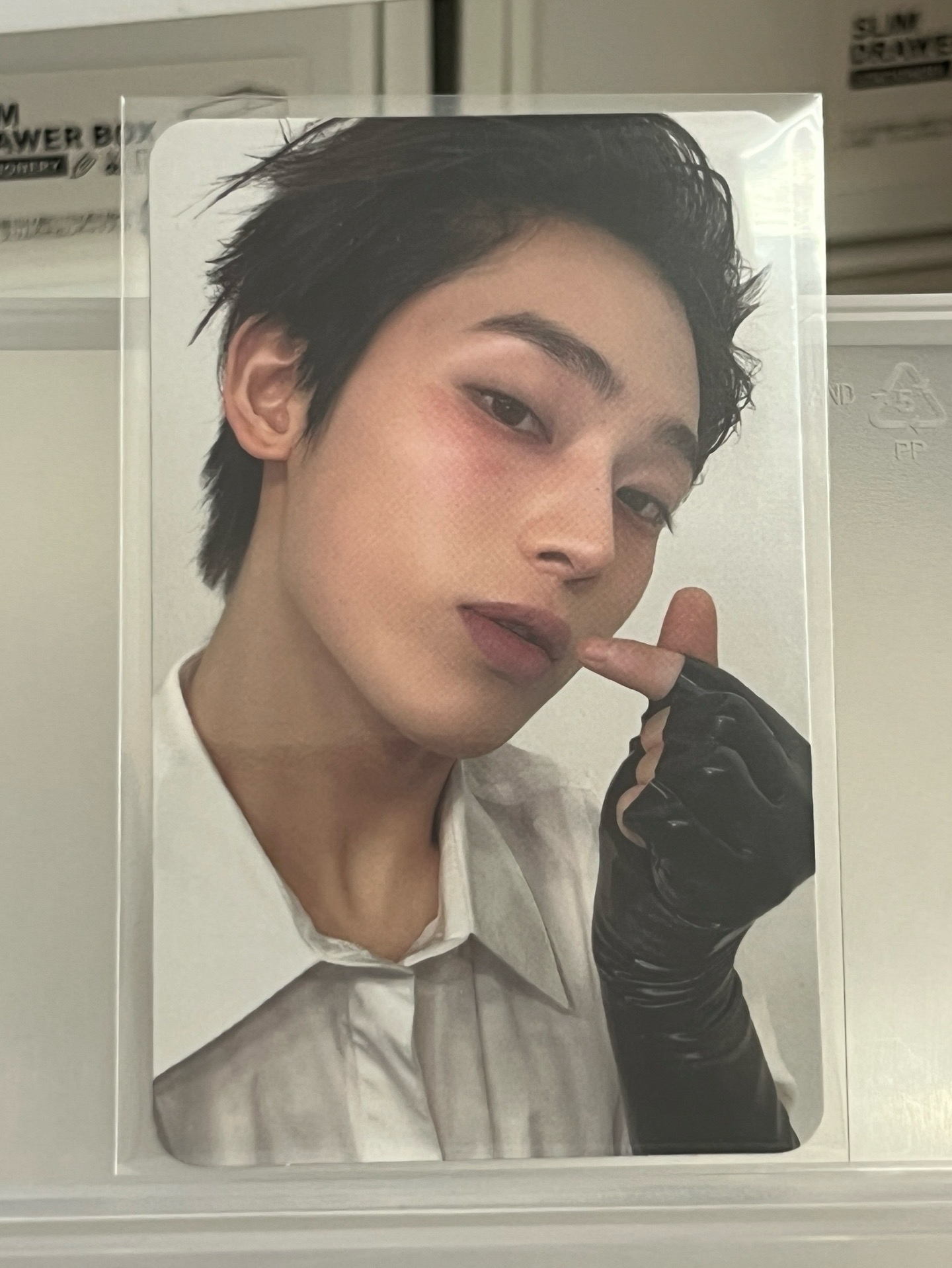 善禹迷你六專卡