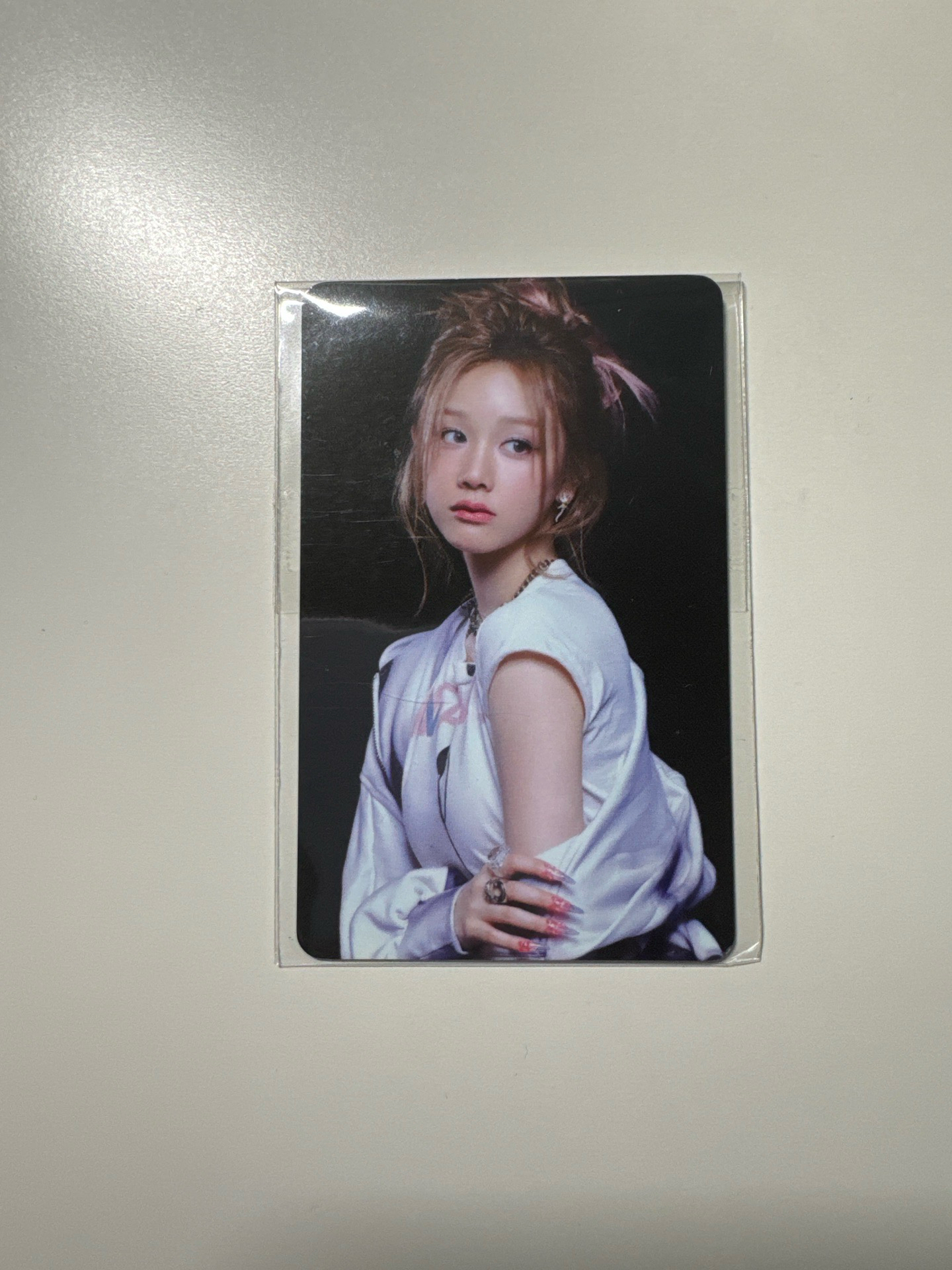 寶怪 WVS預售特典