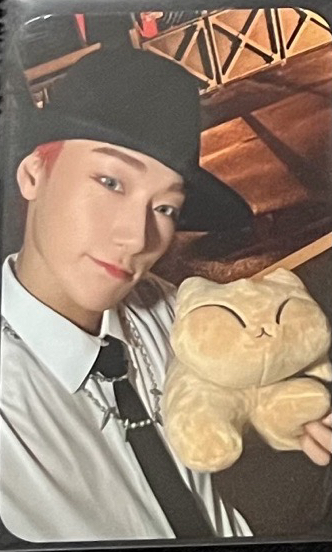 抱貓玩偶傘(帶一張尚/鍾卡)