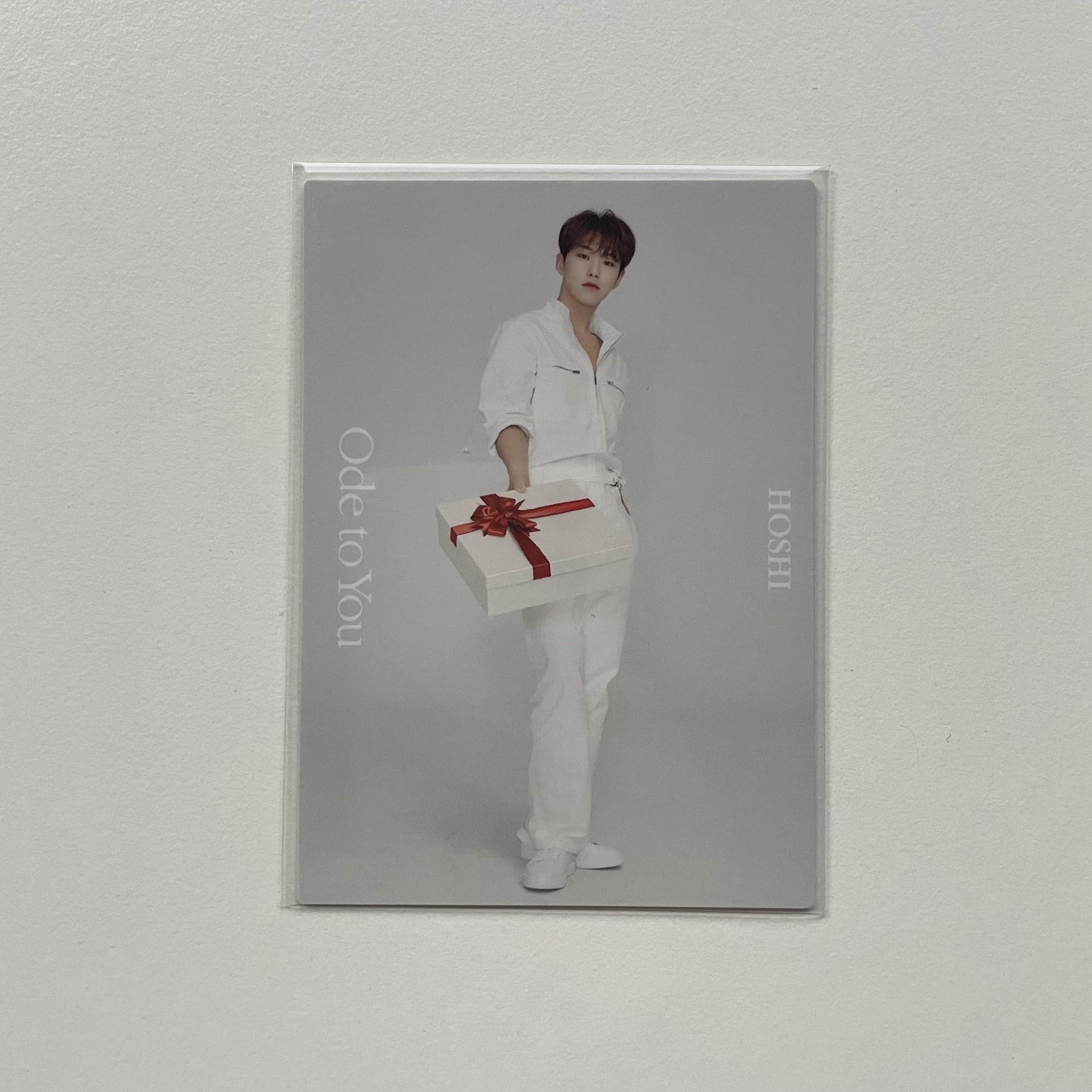 SEVENTEEN HOSHI OTY演唱會卡包卡