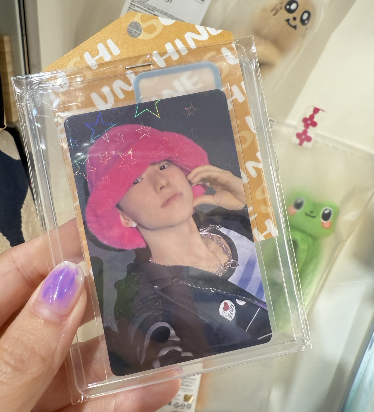 正規五 wvs jp抽選卡