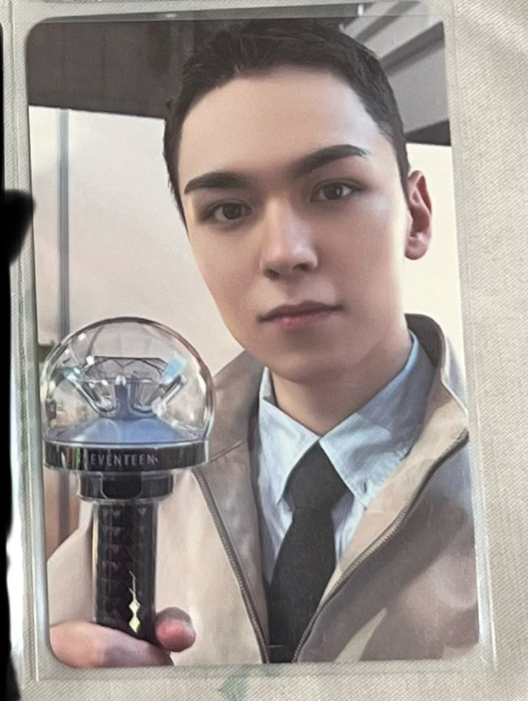 Vernon 25克拉粽