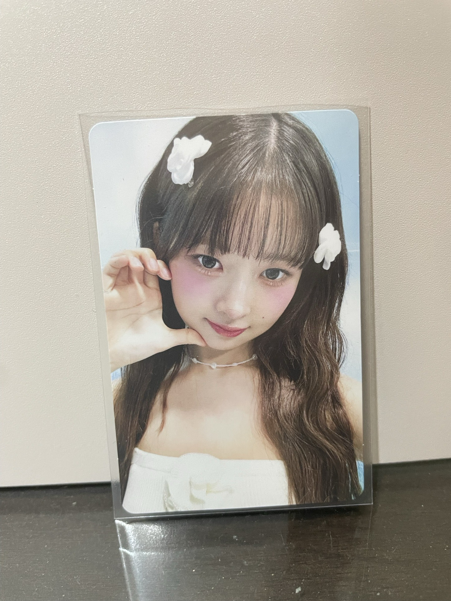B盤怜