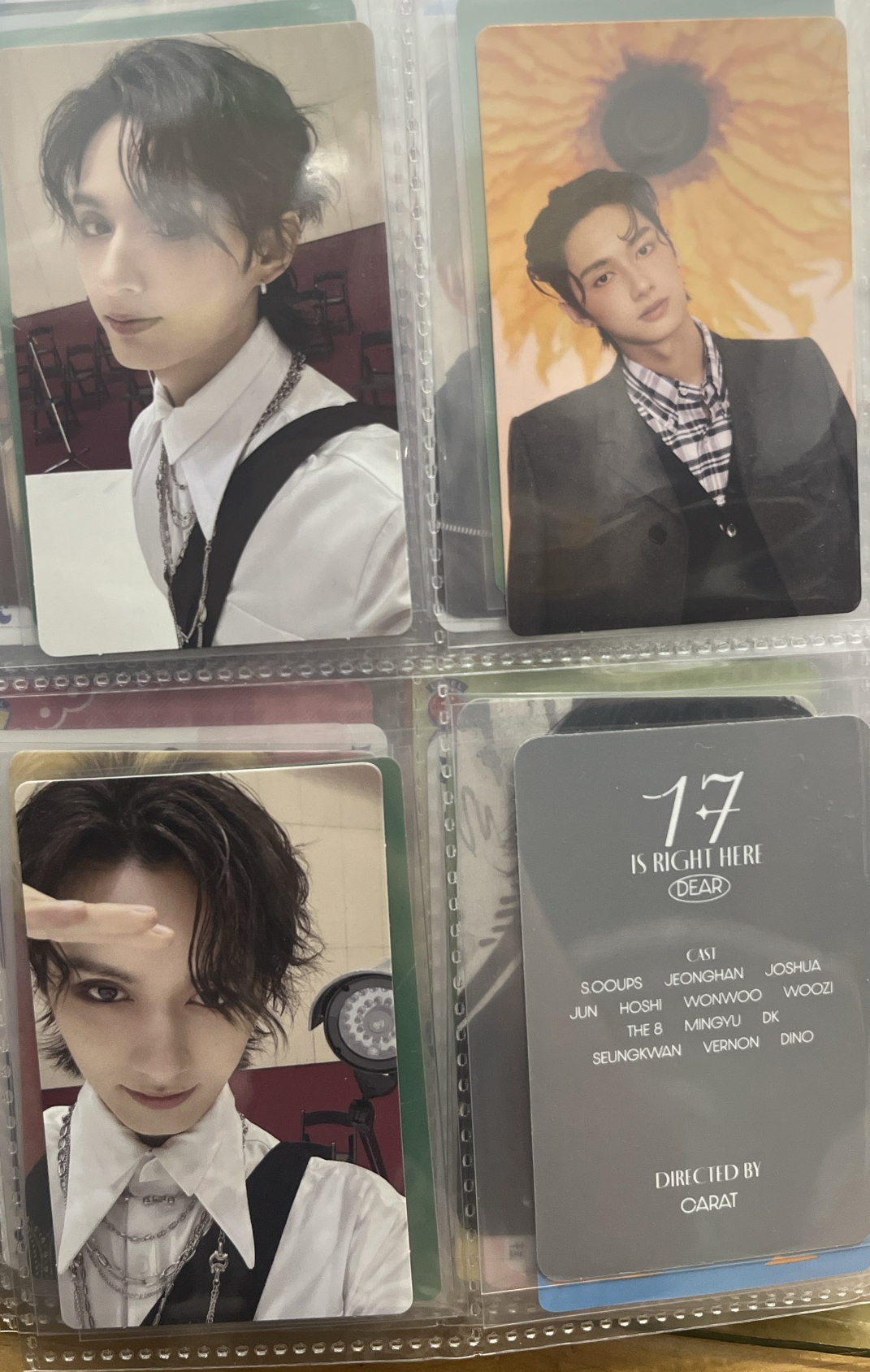 SEVENTEEN 精選專 wvs電子專 俊 未掃