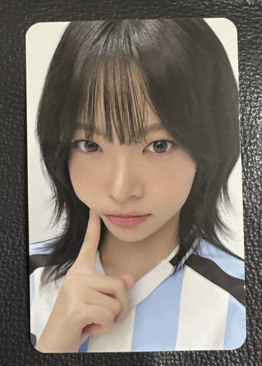 le sserafim 三期會員 恩採