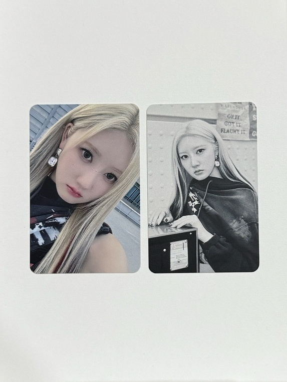 wvs會員禮開箱抽選藍 僅20