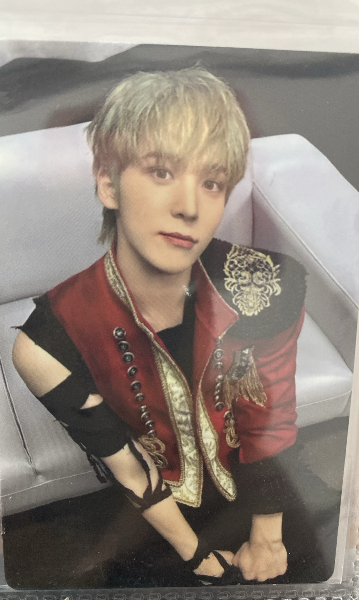 淚眼汪汪小狗在看你