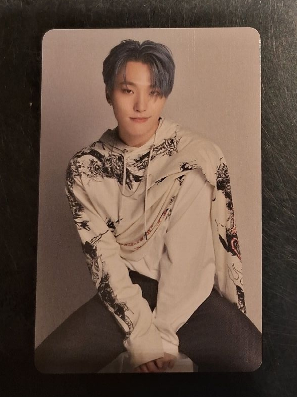 燦 2022 D社卡冊卡