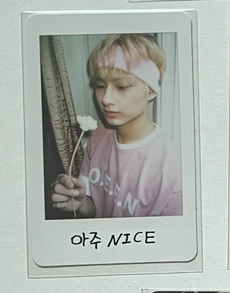 正一後續 舊專拍立得 俊