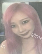 whiplasg 華納特典吉