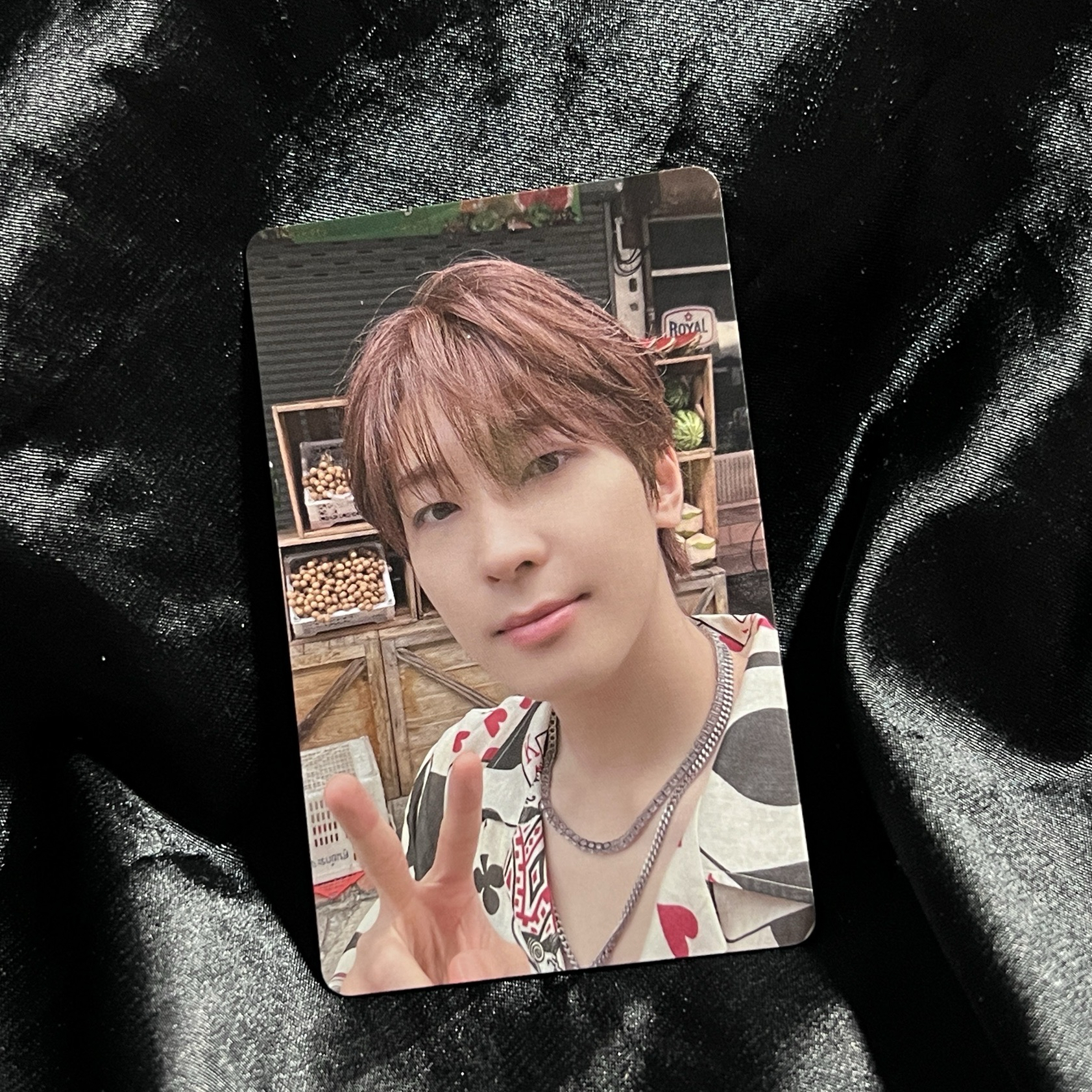 圓 迷12 東京場限