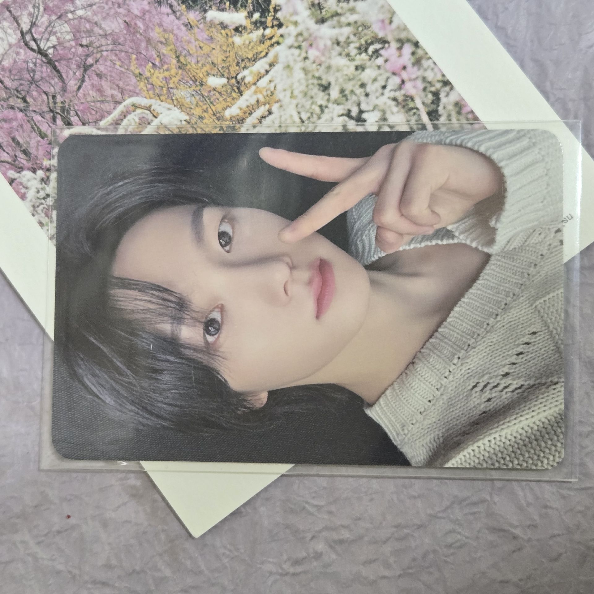 How? idolstage中背 Sungho 成淏