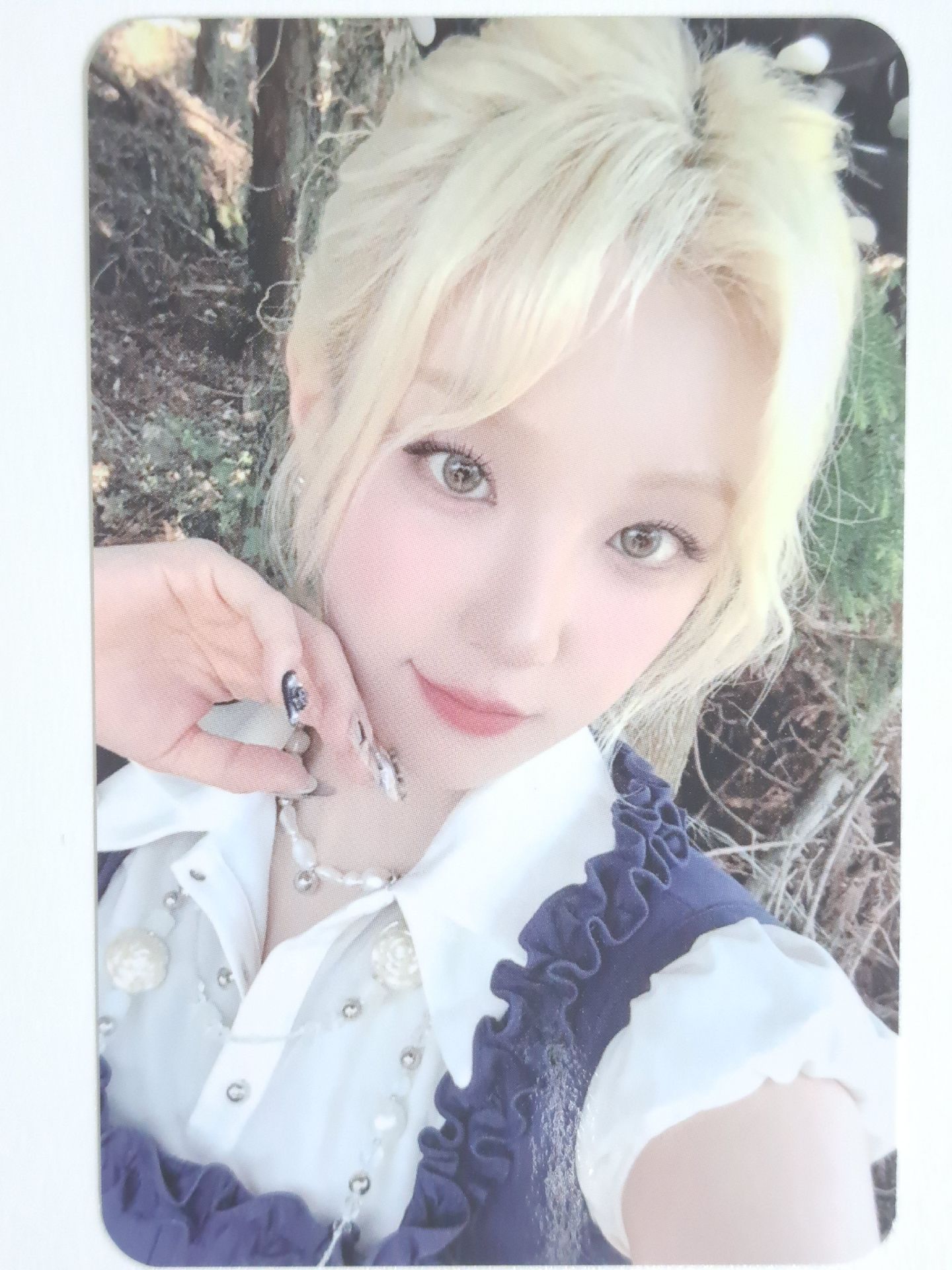 Motivation ms 預售琦