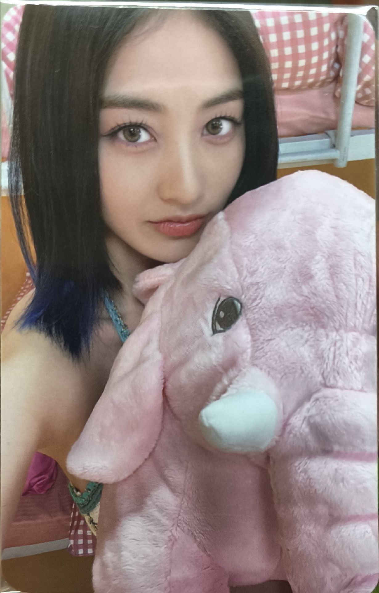 志效專卡（大象）