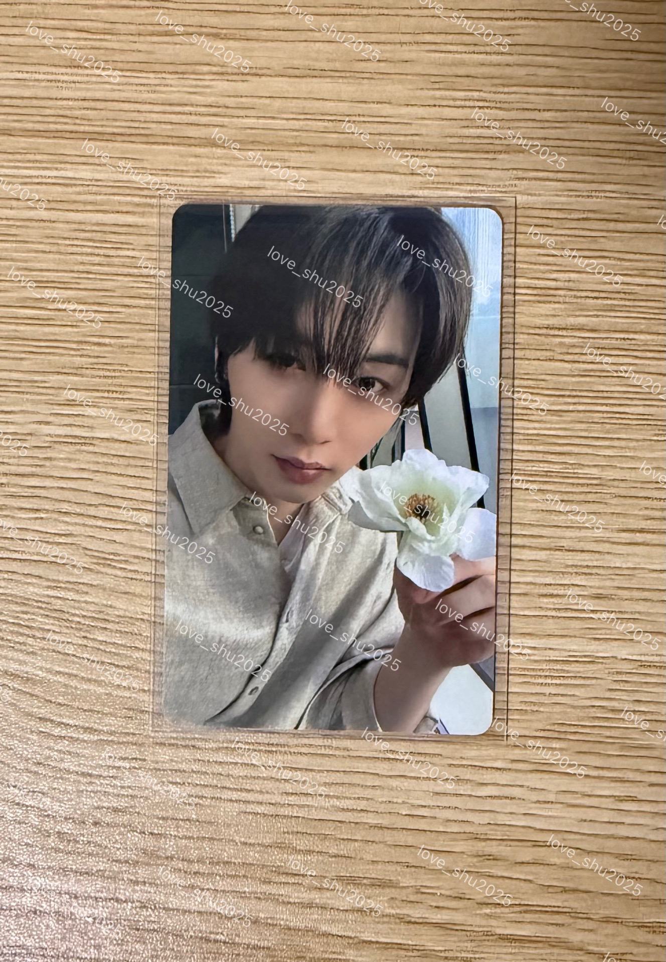 wvs 特典卡（含專）