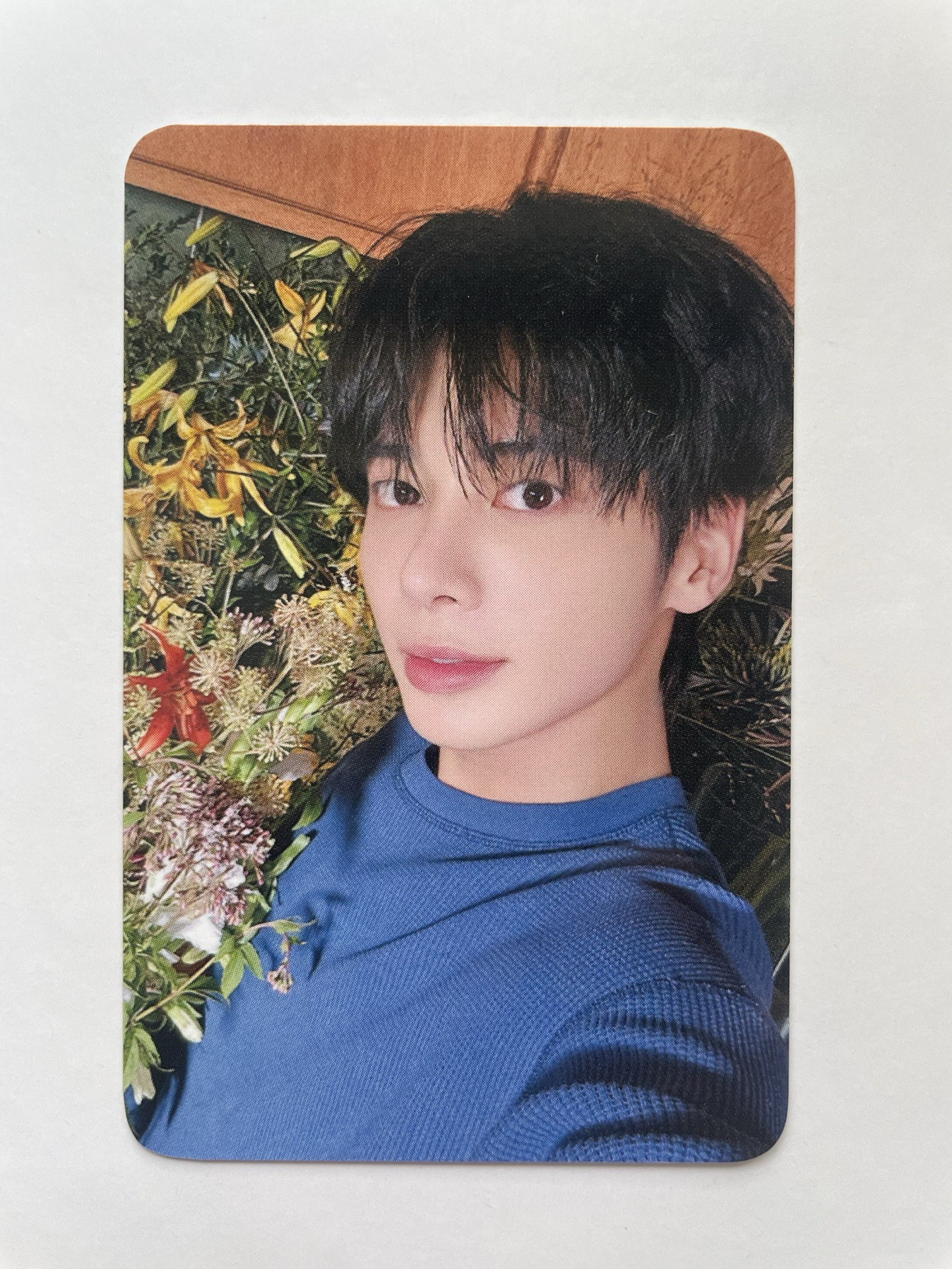 迷7 DMM3.0 特典 太顯