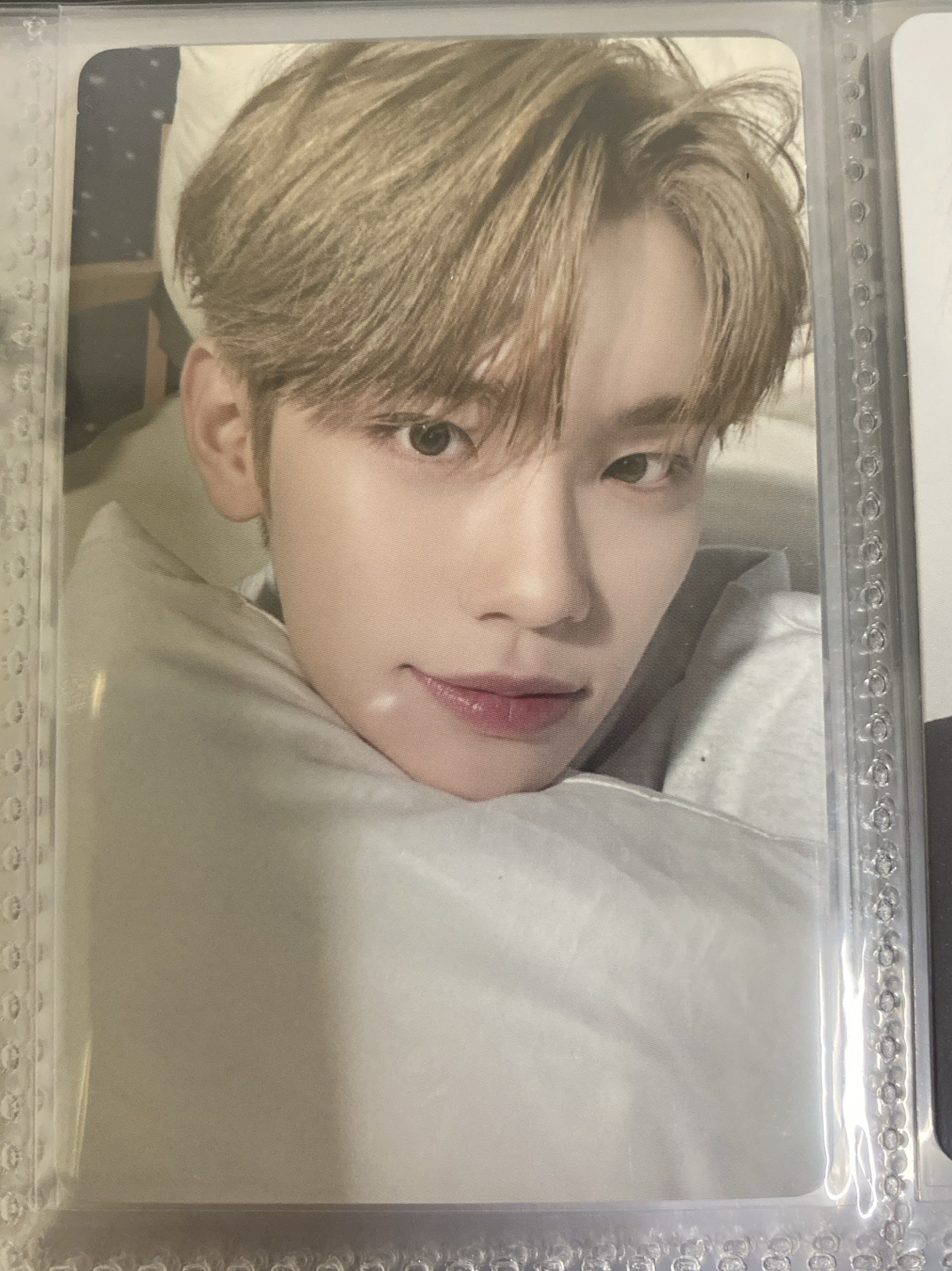 金泰來 迷二專卡