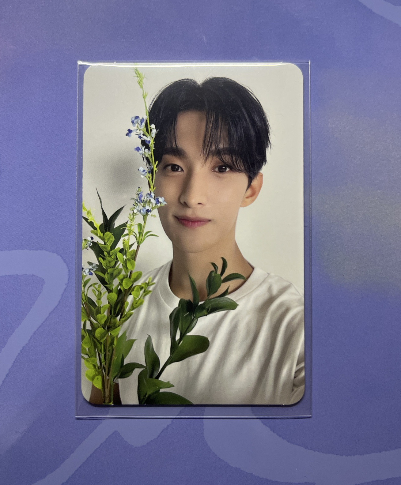 精選專 CARAT ver/碩