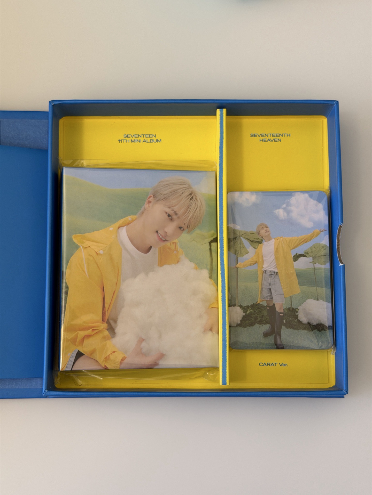 🩵克拉盤 燦Dino雨衣盤