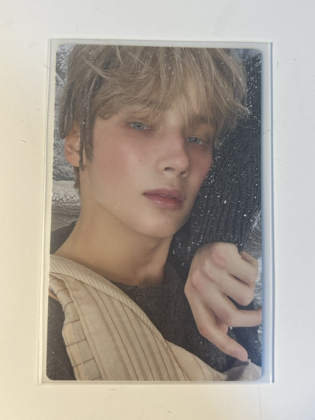 誓い專輯卡 通常寧