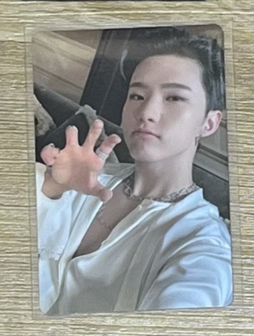 Seventeen social club 順榮 hoshi 小卡 