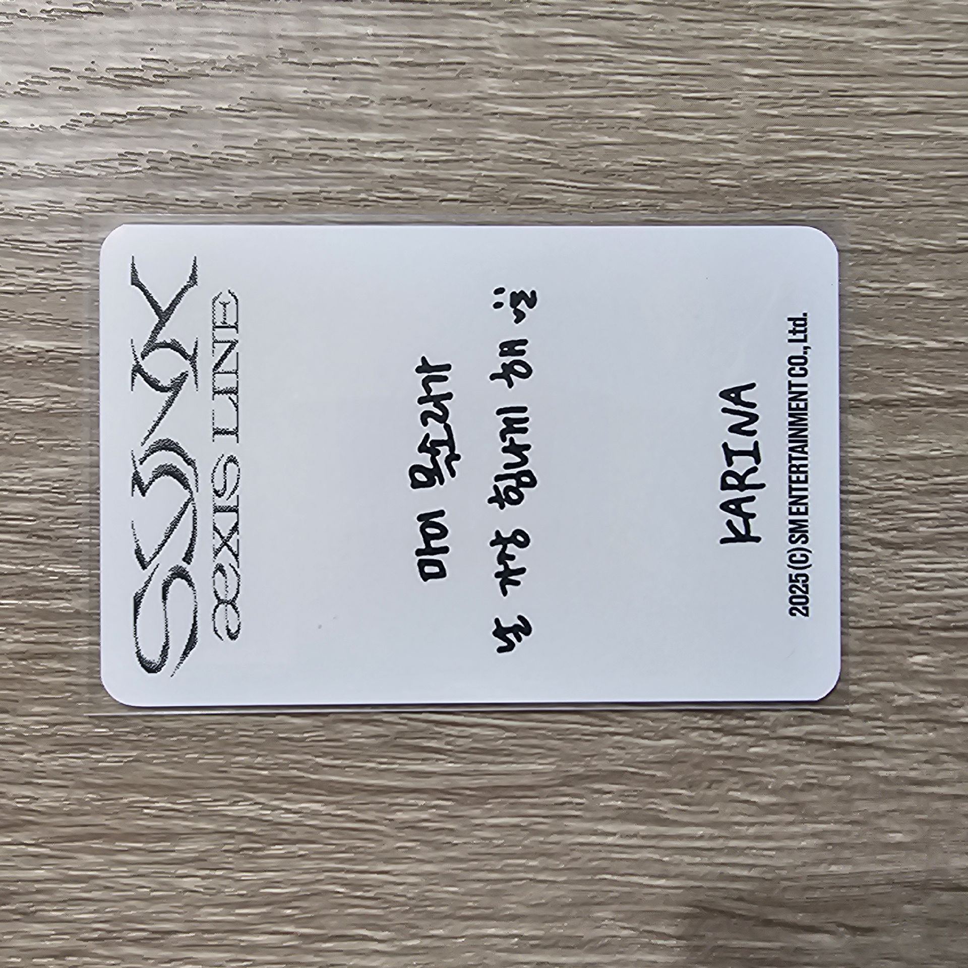 aespa SYNK aeXIS LINE 首爾 演唱會 Karina 衣服小卡