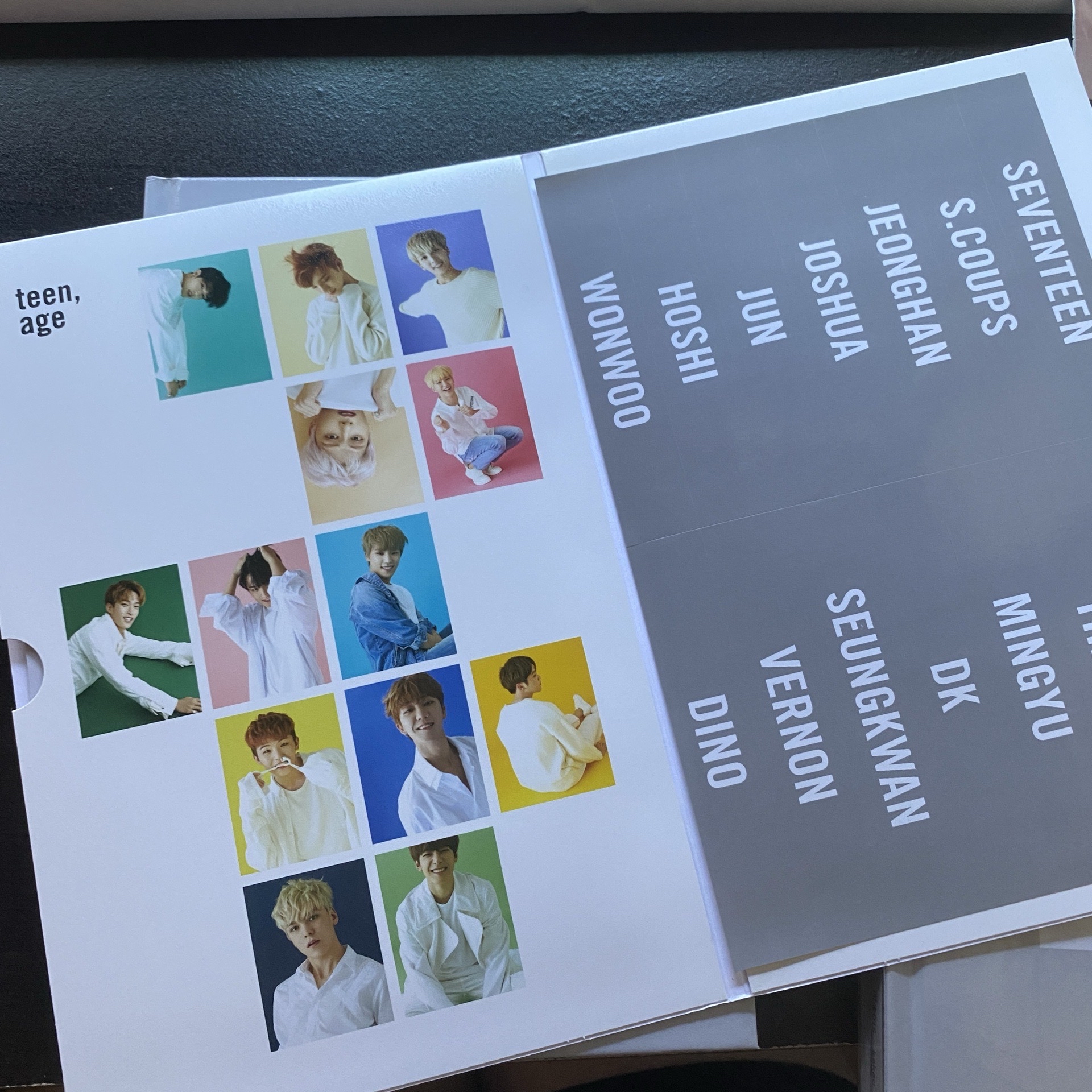 SVT 正二白版空專✨