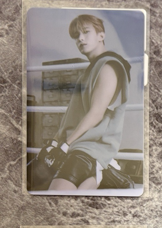 迷10 WVS 電子專卡（已掃）碩🍕