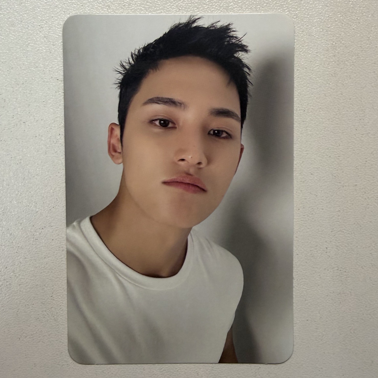 🐶-精選專｜CARAT ver.