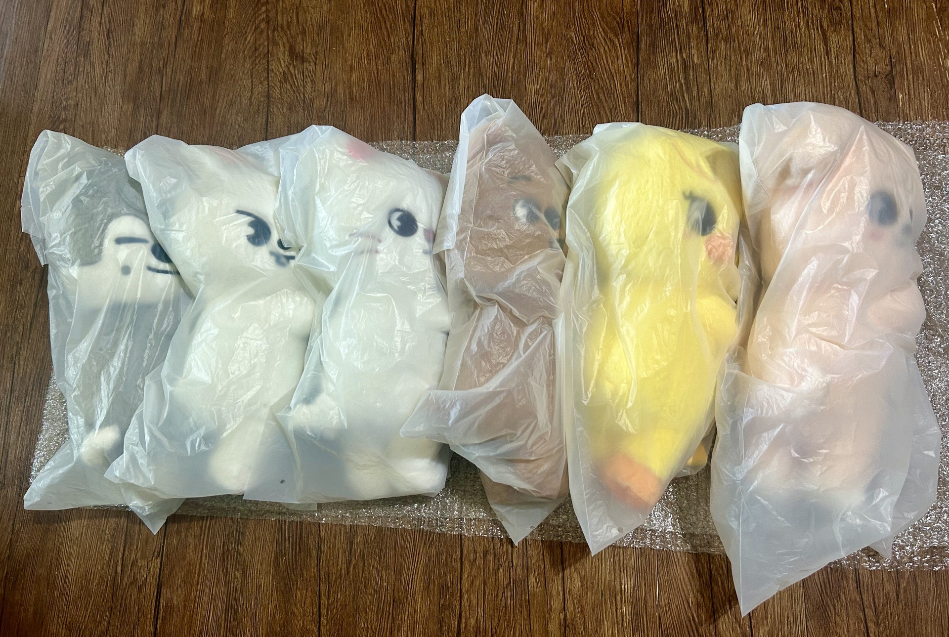 泰迪側背娃 全新未拆 現貨