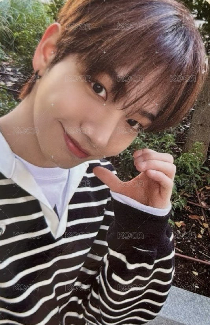 明 回憶錄set 小卡+拍立得+明信片