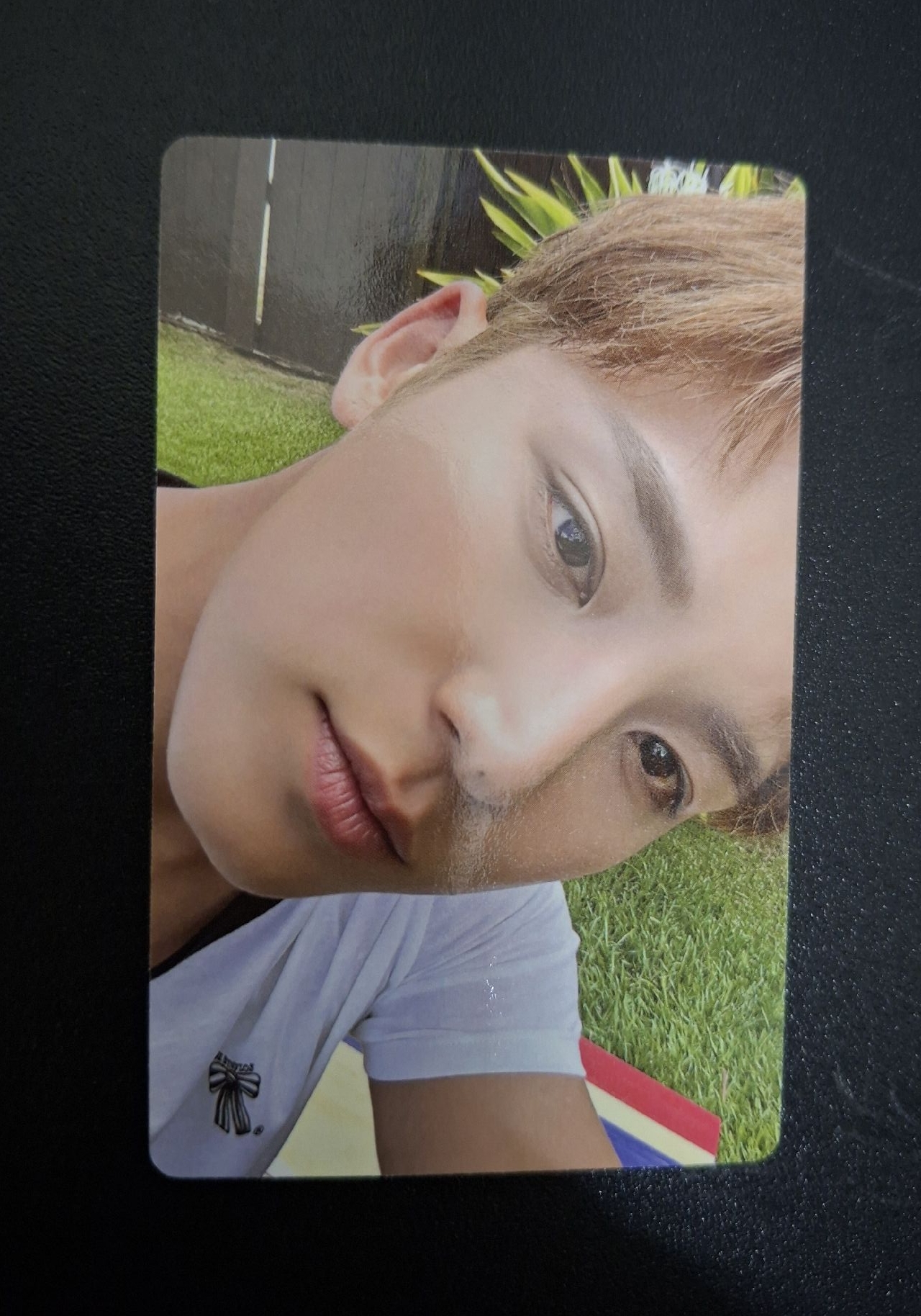 CxM預售特典 草地奎