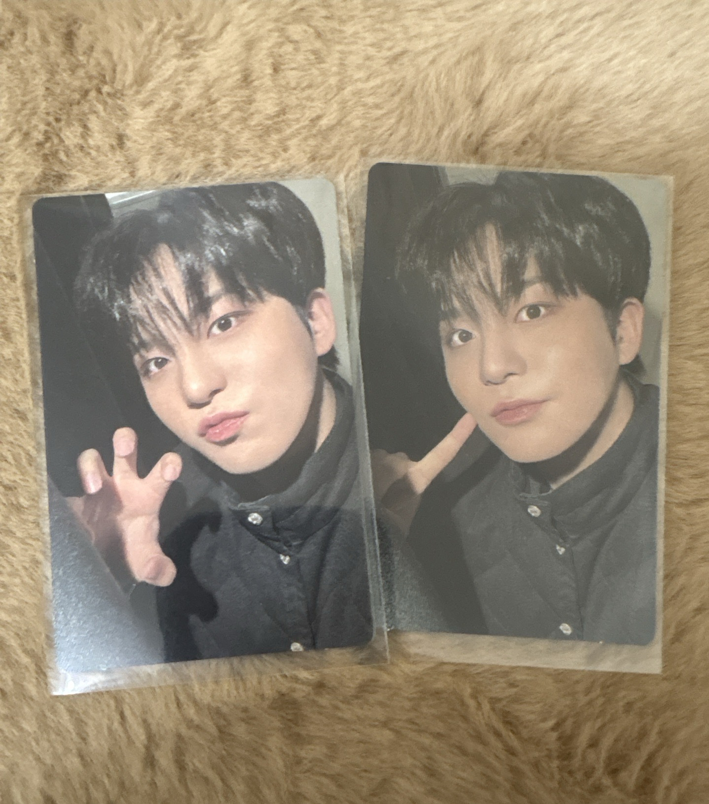 golden hour 熊專卡