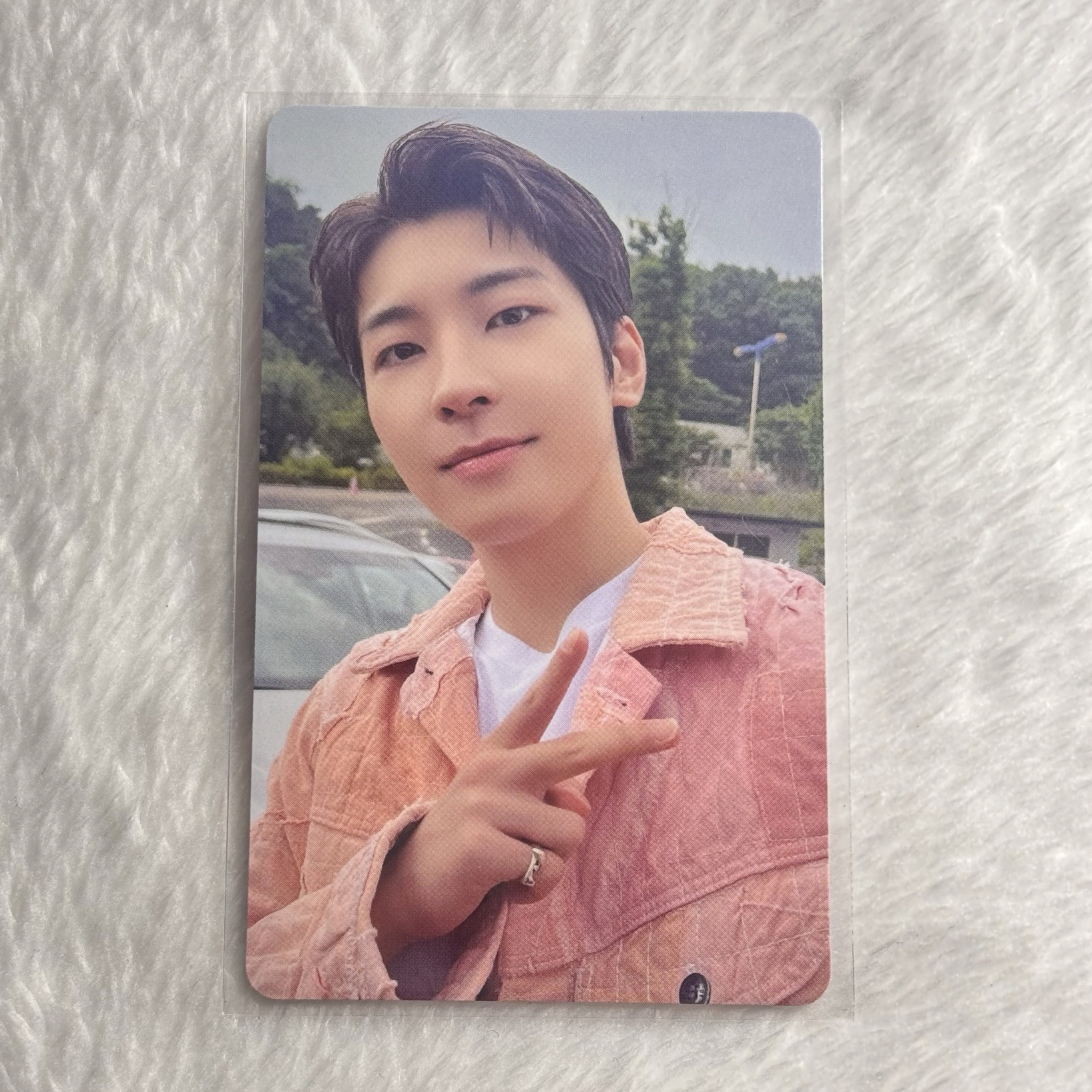 ALWAYS YOURS WVS愛知場限 圓佑