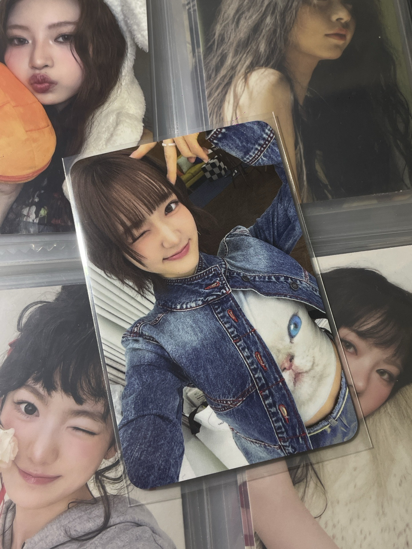 Kiiikiii wm2.0 Jiyu小貓