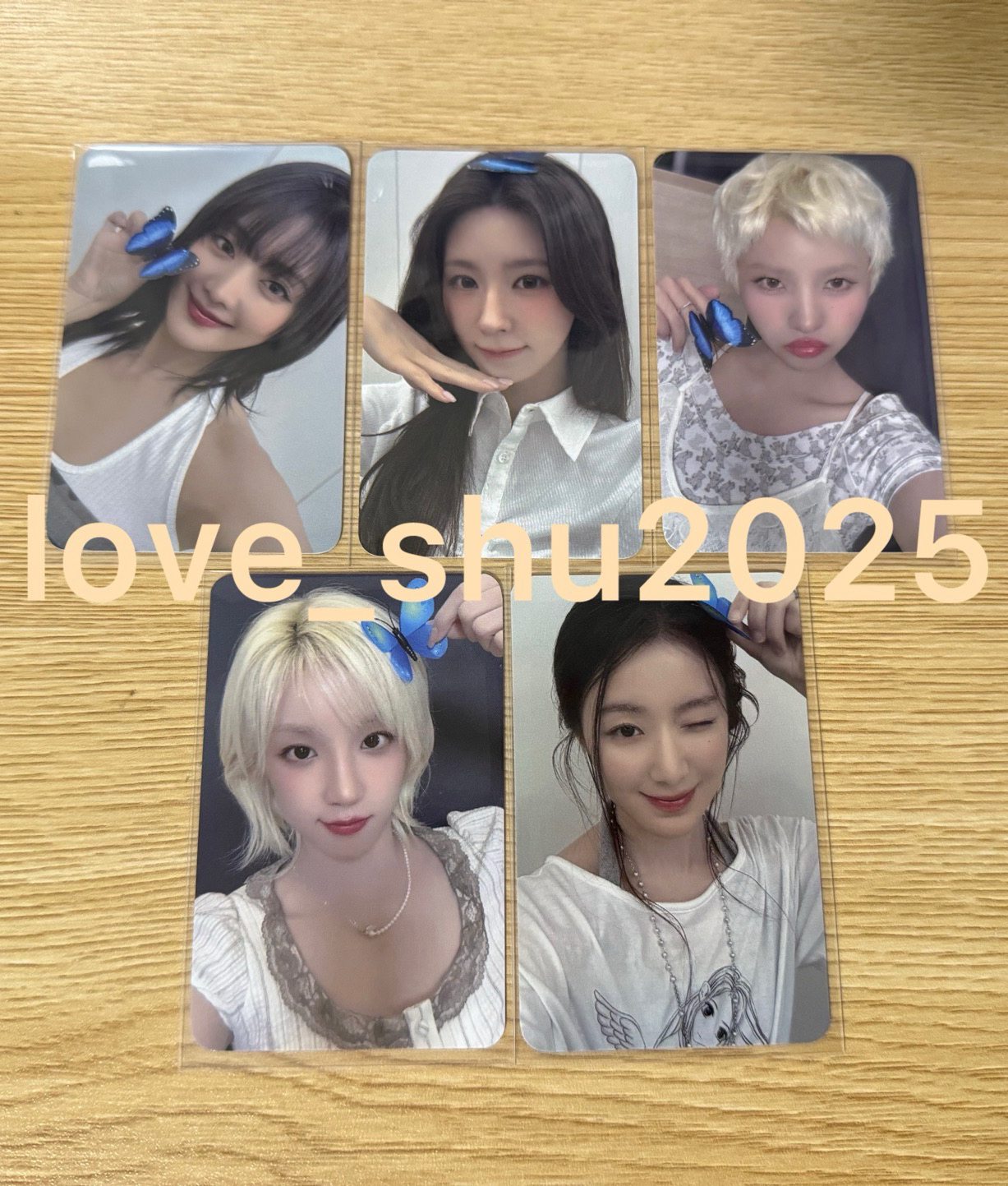 楠藝 蝴蝶特典卡