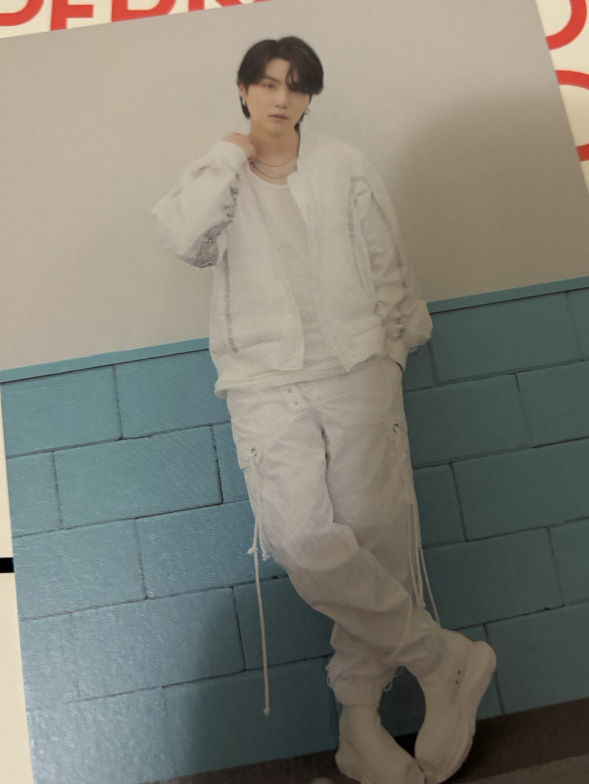 PTD Live 明信片其