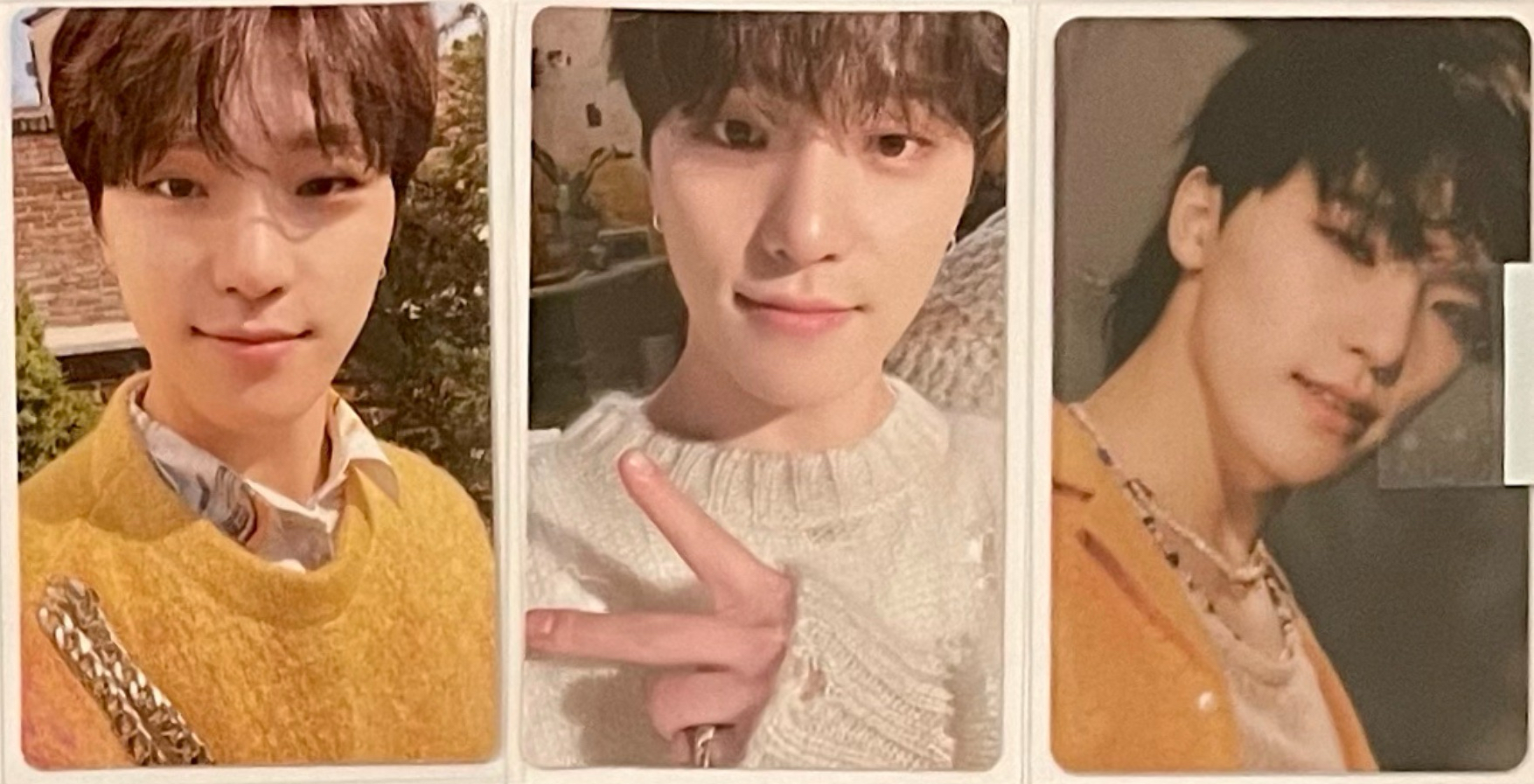 正四 WVS 率/燦 （已/未掃皆有）