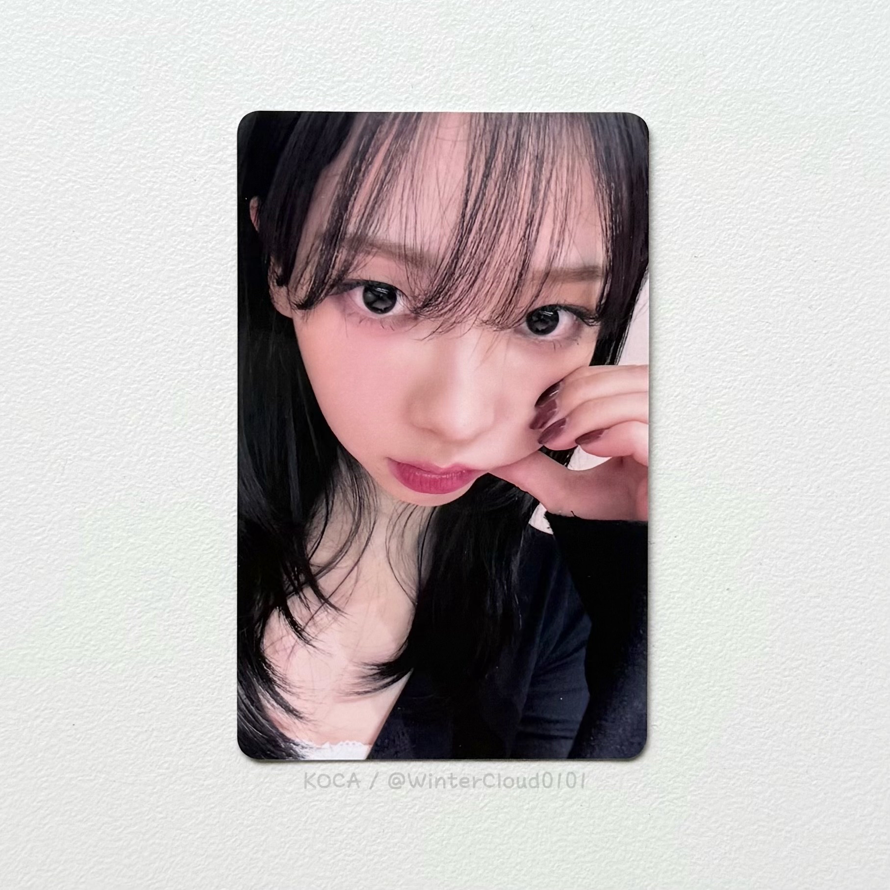 Whiplash KMS新春柚