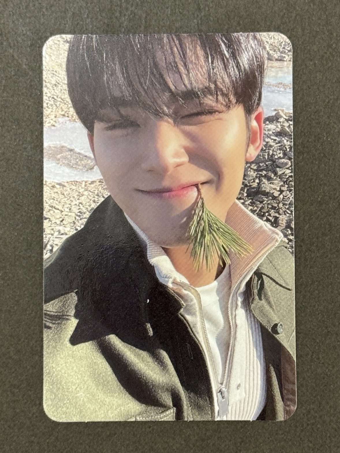 SVT 正四 奎 專卡