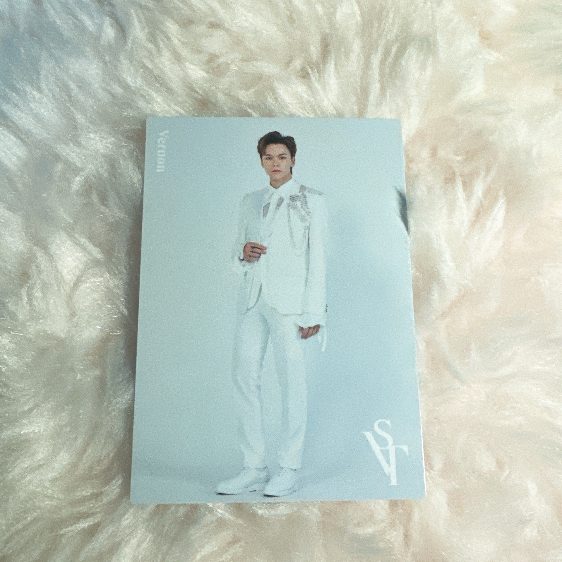Vernon-2