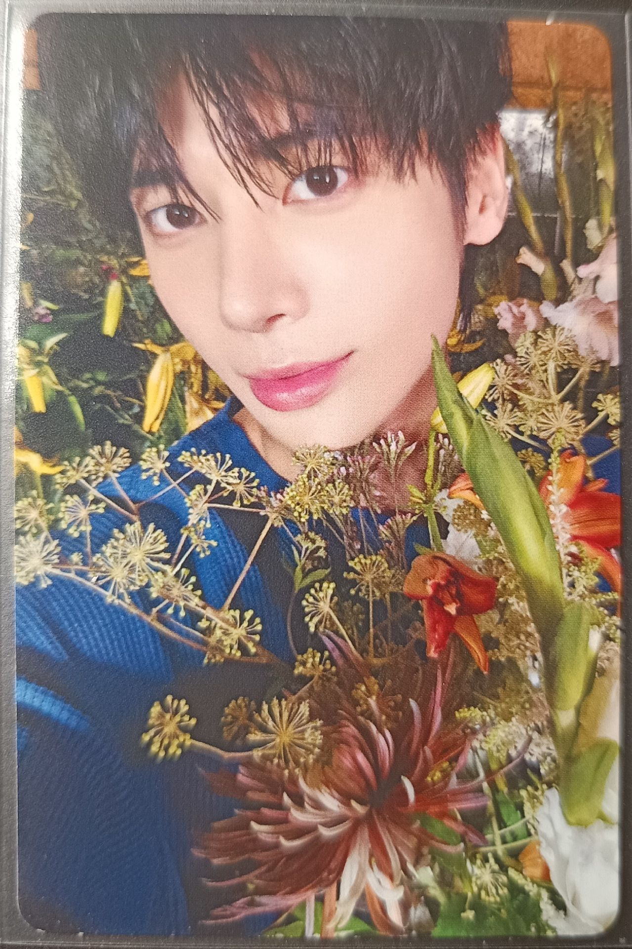 迷七 專輯卡 電子專 ver.B 顯