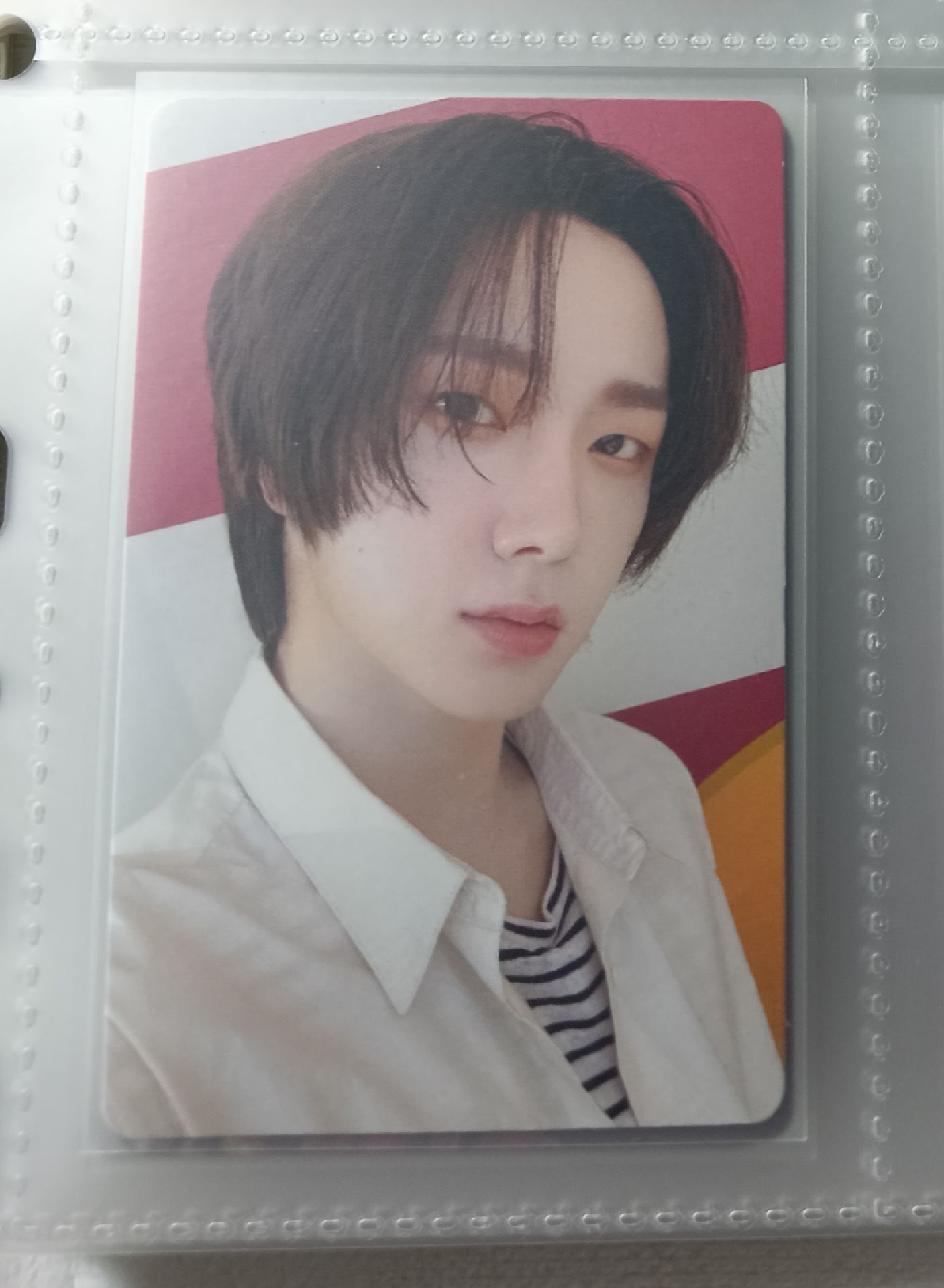 19.99專輯卡 SUNGHO