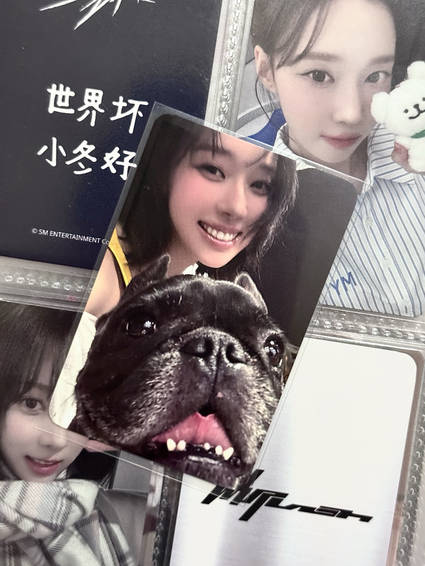 Rich Man k4 預售冬