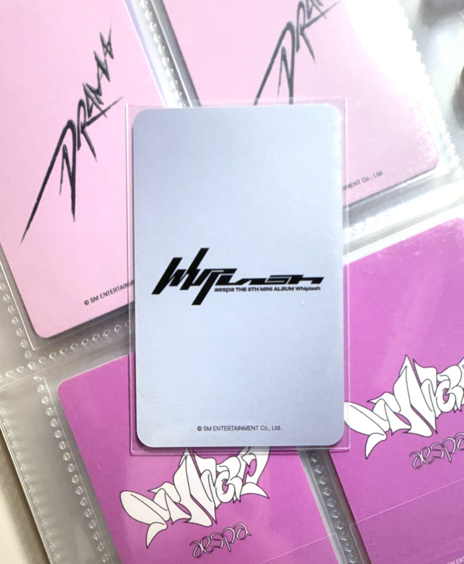 Whiplash el幸運卡冬 狗耳 WINTER