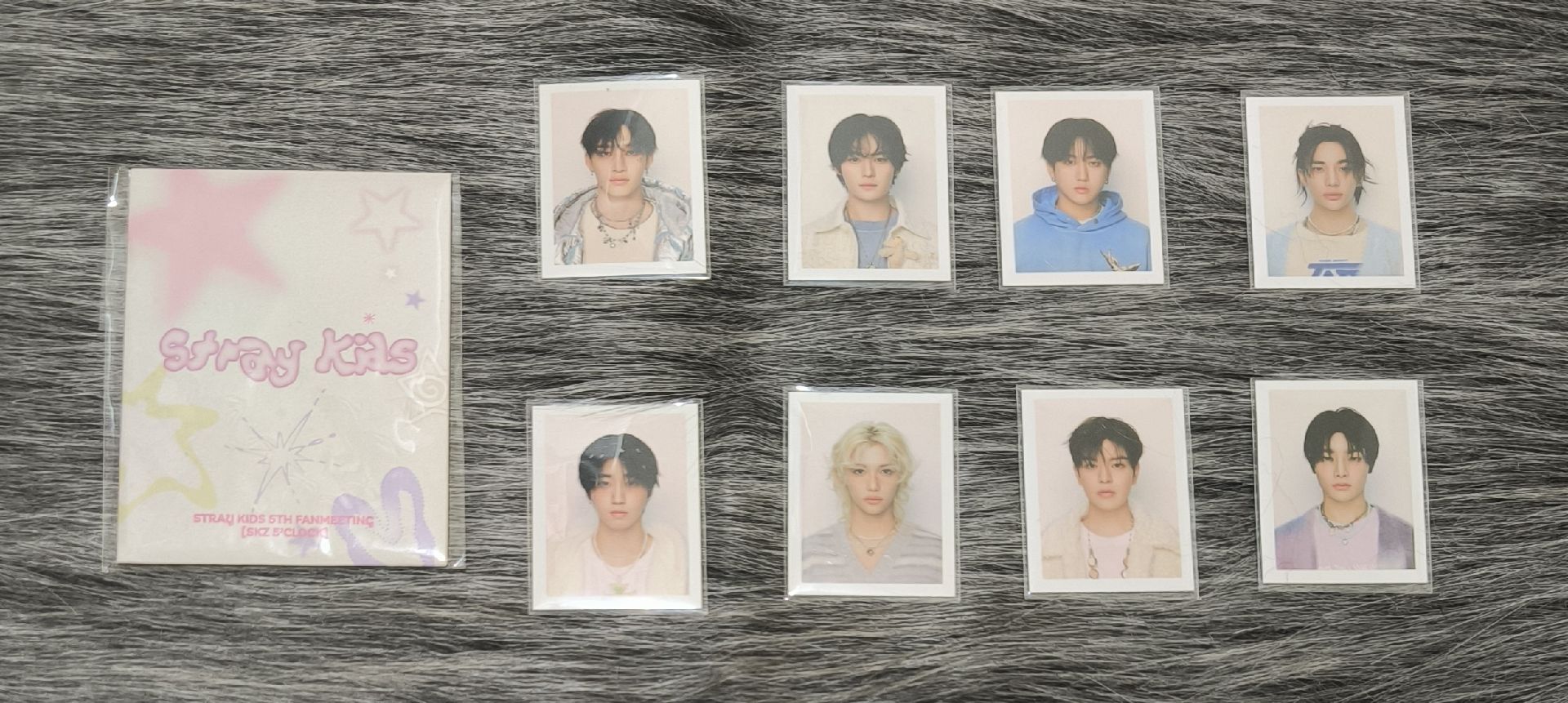 五期飯咪證件照組