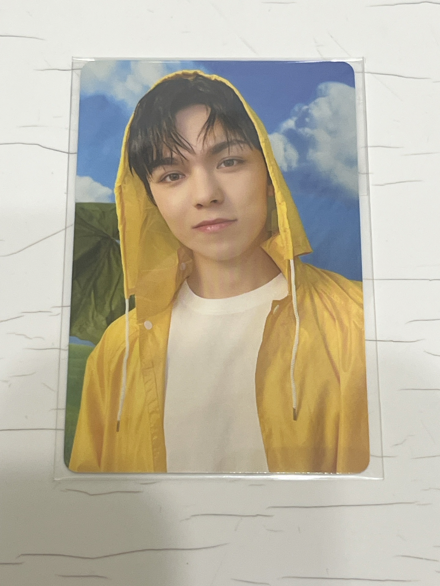 迷11克拉盤隨機卡 雨衣盤 瀚率 vernon