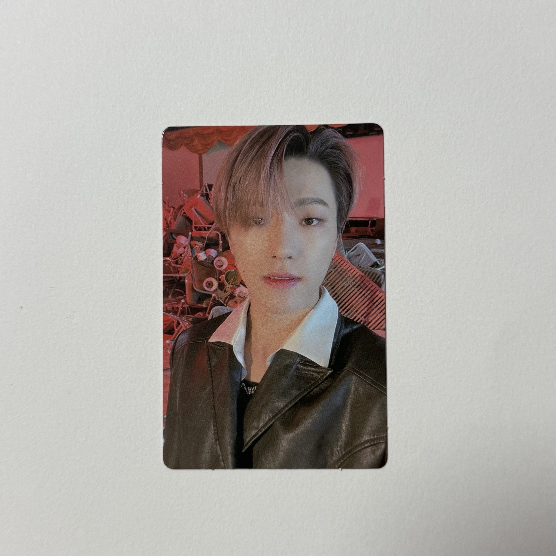 🦦DINO MINI9 專輯卡 ｜Op3 ver.