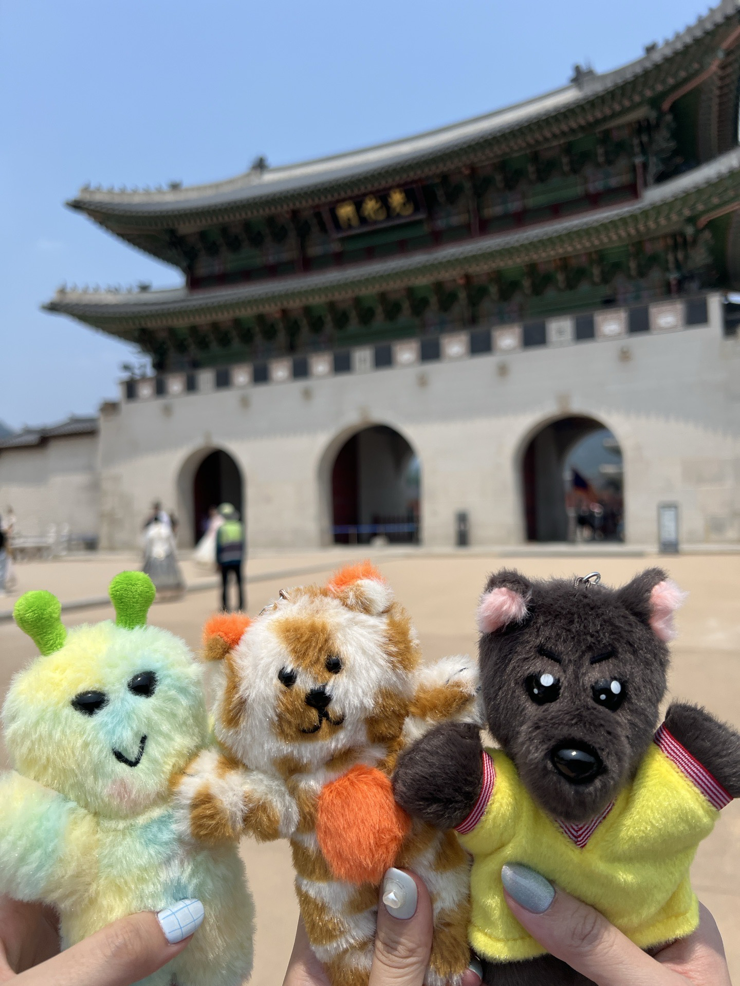 312官娃（含卡）