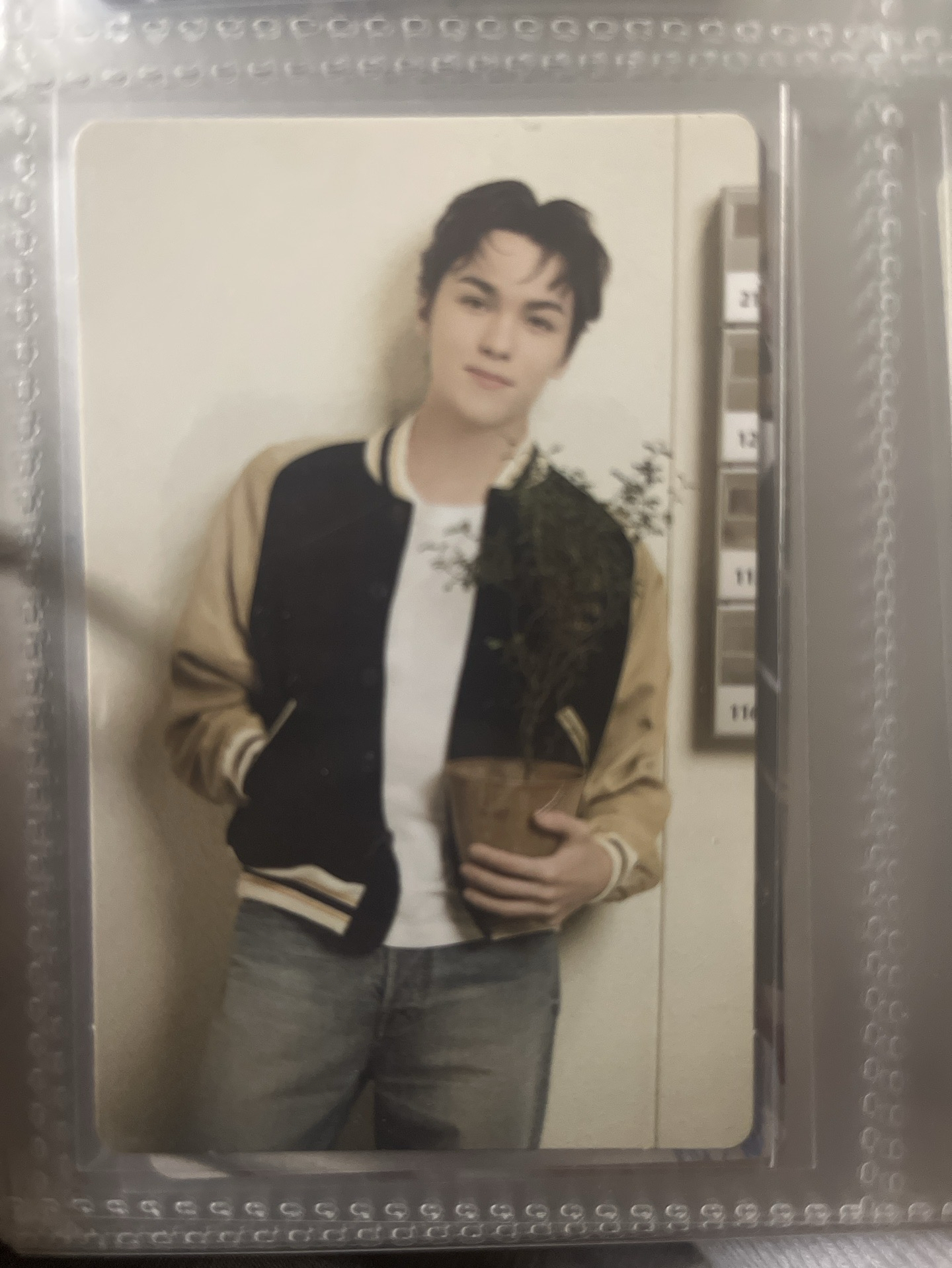 vernon 2024克拉島卡包卡